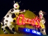 Amy\'s Ice Creams